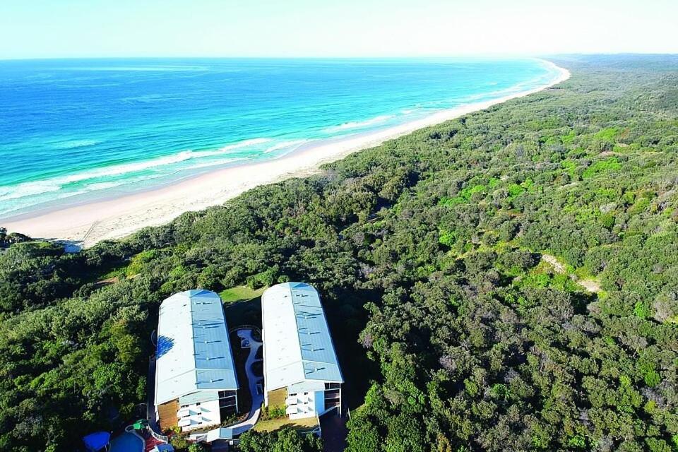 Whale Watch Ocean Beach Resort Point Lookout Eksteriør bilde